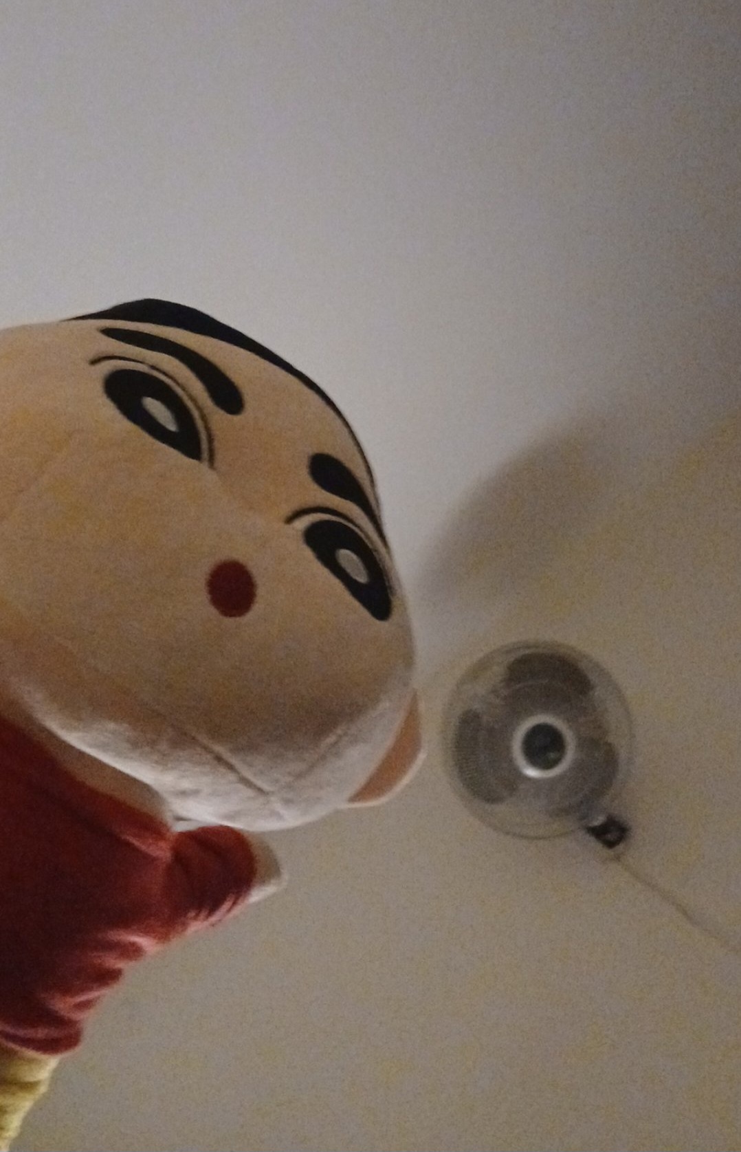 Mèo Nhỏ 