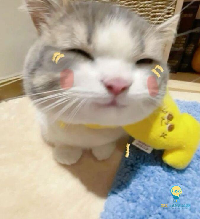 tô bún bò >:3
