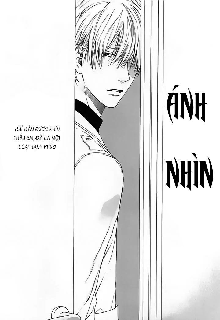 Ánh Nhìn